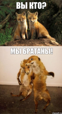 ВЫ КТО? МЫ БРАТАНЫ!