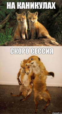 На каникулах Скоро сессия