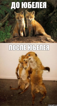 до юбелея после юьелея