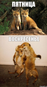 Пятница Воскресенье