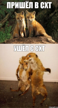 ПРишёл в схт ушёл с схт