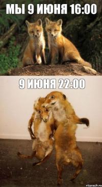 мы 9 июня 16:00 9 июня 22:00