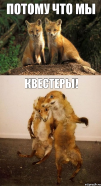 потому что мы квестеры!