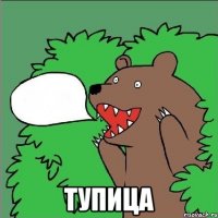  тупица