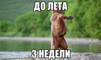 до лета 3 недели