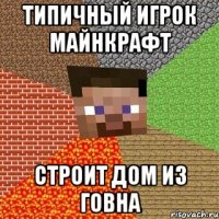 типичный игрок майнкрафт строит дом из говна