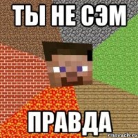 ты не сэм правда