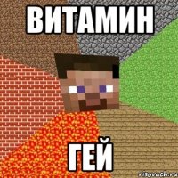 витамин гей