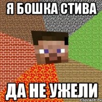 я бошка стива да не ужели