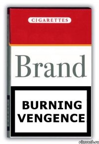 Burning Vengence