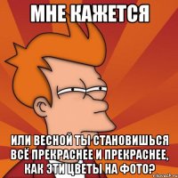 мне кажется или весной ты становишься всё прекраснее и прекраснее, как эти цветы на фото?