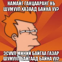 намайг ганцааранг нь шумуул хазаад байна уу? эсvvл миний байгаа газар шумуул байгаад байна уу?