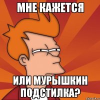 мне кажется или мурышкин подстилка?