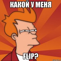 какой у меня flip?