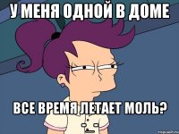 у меня одной в доме все время летает моль? -_-