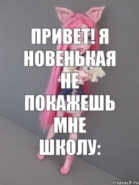 привет! я новенькая не покажешь мне школу: