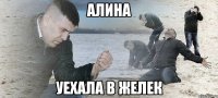 алина уехала в желек