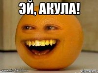 эй, акула! 