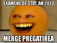 examene de stat. an 2013 merge pregatirea