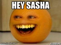 hey sasha 