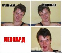 Маленькая Маленька ЛЕОПАРД