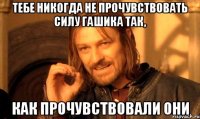 тебе никогда не прочувствовать силу гашика так, как прочувствовали они