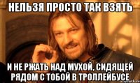 нельзя просто так взять и не ржать над мухой, сидящей рядом с тобой в троллейбусе