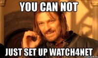 you can not just set up watch4net