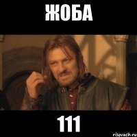 жоба 111