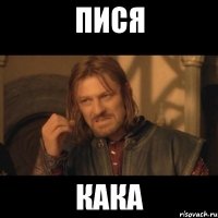 пися кака