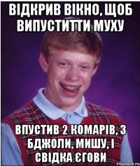 відкрив вікно, щоб випуститти муху впустив 2 комарів, 3 бджоли, мишу, і свідка єгови