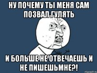 ну почему ты меня сам позвал гулять и больше не отвечаешь и не пишешьмне?!