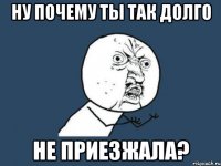 ну почему ты так долго не приезжала?