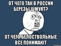 от чего так в россии березы шмуят? от чего белоствольные все понимают