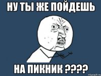 ну ты же пойдешь на пикник ???