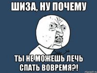 шиза, ну почему ты не можешь лечь спать вовремя?!