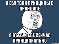 я ебу твои принципы в принципе я въебу тебе сейчас принципиально