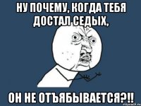 ну почему, когда тебя достал седых, он не отъябывается?!!