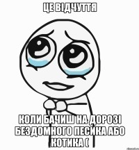 це відчуття коли бачиш на дорозі бездомного песика або котика (