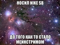 носил nike sb до того как то стало мейнстримом