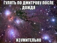 гулять по дмитрову после дождя изумительно