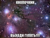 кнопочкин выходи гулять!!!