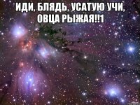 иди, блядь, усатую учи, овца рыжая!!1 