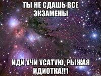 ты не сдашь все экзамены иди учи усатую, рыжая идиотка!!1