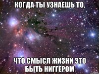 когда ты узнаешь то, что смысл жизни это быть ниггером