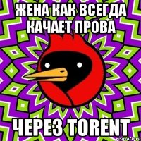 жена как всегда качает прова через torent