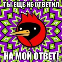 ты еще не ответил на мой ответ!