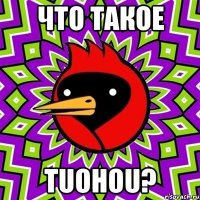 что такое tuohou?