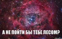  А не пойти бы тебе лесом? 