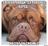 ерек хороваци тех pedigree берец... hастат чи сирум :с